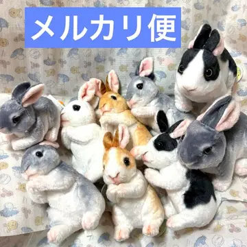 리얼 토끼 봉제 인형 세트 묶음 판매 택 포함
