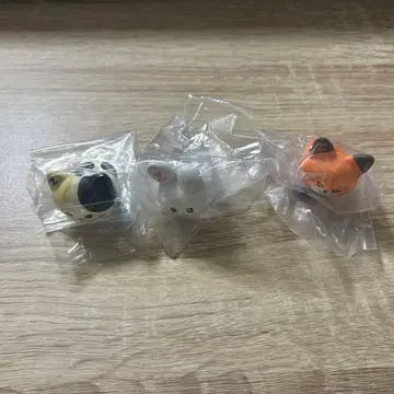 zeroni 퐁신퐁신 반지 튀니니 리니니 유니니 제베원