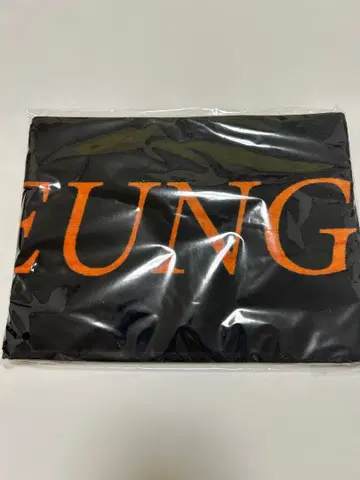 seventeen SEUNGKWAN 타월