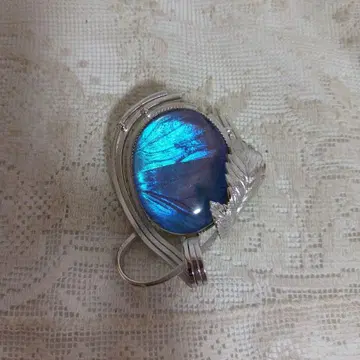 모르포 나비 브로치