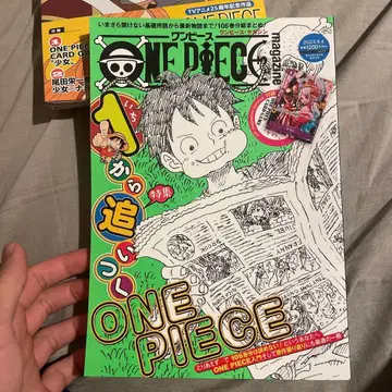 ONE PIECE magazine Vol.17