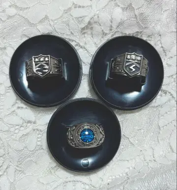 가정교사 히트맨 REBORN! 봉고레 반지 대공 번개 안개