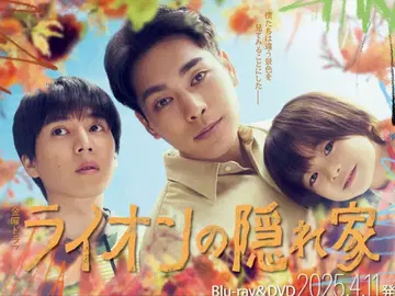 라이온의 은신처 DVD 전권 세트