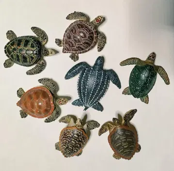 바다거북 피규어 7개 세트