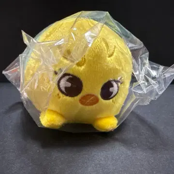 straykids 필릭스 포가리 미니 백참