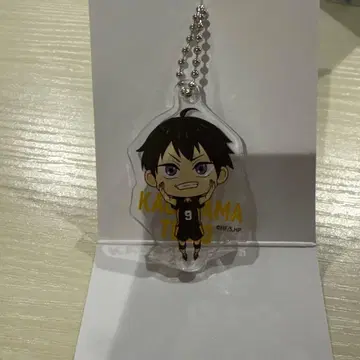 하이큐 카게야마 토비오 아크릴 키링 승리의 길목 카페