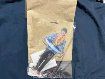 하세가와 신 빅 아크릴 스탠드