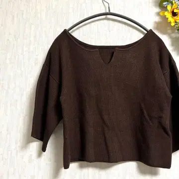 EMODA 브라운 5부 소매 크롭 니트 스웨터 프리 사이즈 두꺼운 원단