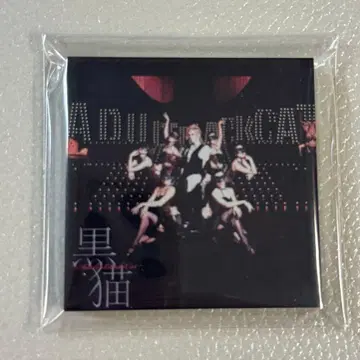 acid black cherry 아크릴 마그넷 검은 고양이