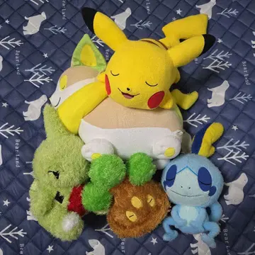 포켓몬 봉제 인형 굿나잇 묶음 판매 5개 세트