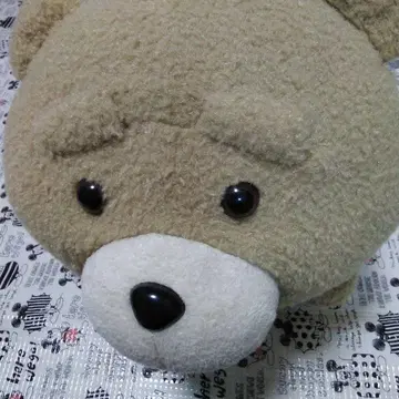 ted2의 베이지색 초BIg 앞 앉은 베어입니다.