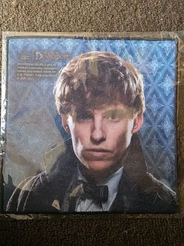 Newt Scamander 미니 타월 판타스틱 비스트
