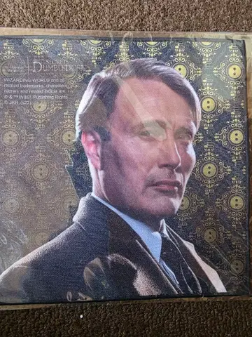 겔러트 그린델왈드 미니 타월 신비한 동물사전