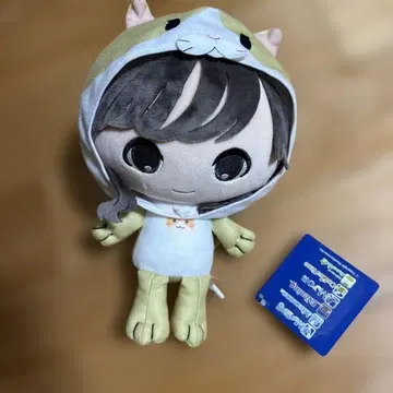 웨더뉴스 LiVE 코코귈토! 봉제 인형 고바야시 리이나