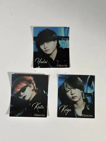 Novelbright 깜짝 계란 씰만