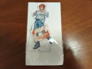 GiGO 홀로스타즈 빅 아크릴 스탠드 하나사키 미야비