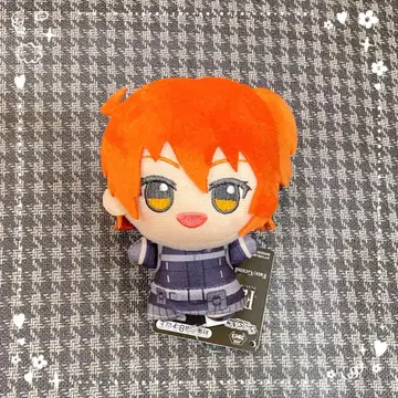 [택 포함] Fate/Grand Order SD 인형 주인공(여자)