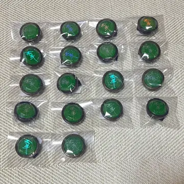 스타라이 반지 라이트 하스미 케이토