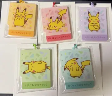 열 포켓 열 색 아크릴 키링 피카츄 컴플리트 아크릴 키링