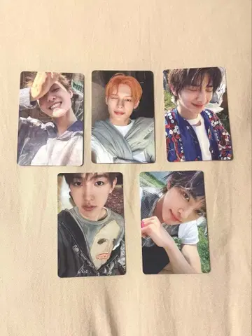 CORTIS weverse 특전 트레이딩 카드 5장 세트