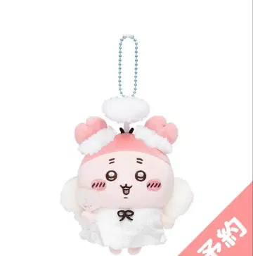 치이카와 (먼작귀) 헌책방 계절