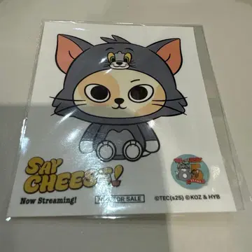 BOYNEXTDOOR 톰 제리 스티커 성호