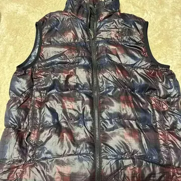 THE NORTH FACE 멀티 컬러 다운 베스트