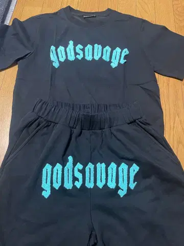 godsavage 셋업