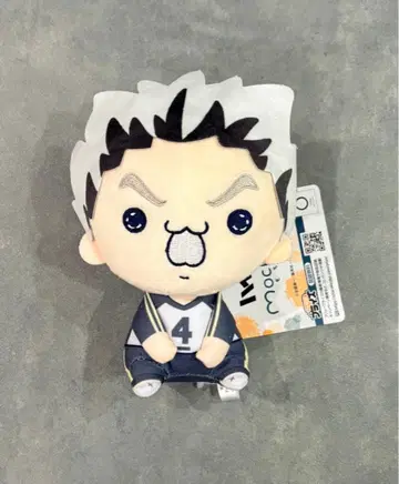 하이큐!! 모찌피코 봉제 인형 보쿠토 코타로
