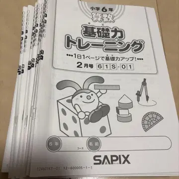 초6 산수/ SAPIX 기초력 트레이닝 12권 세트/사피 6학년