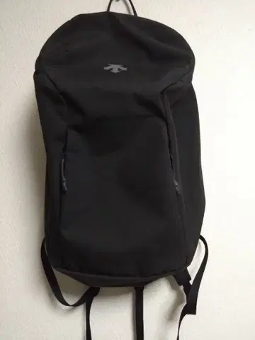 새상품급 DESCENTE 백팩