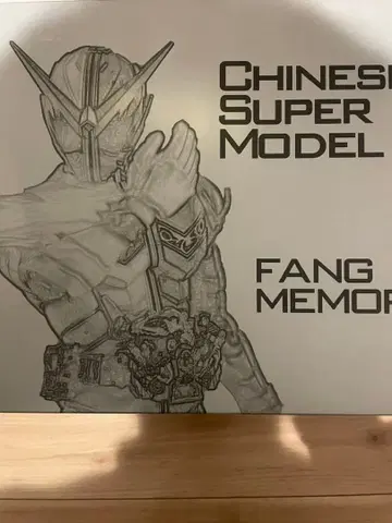 CSM 팡 메모리 중국판