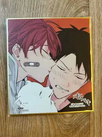 기븐전 색지 사토 마후유 카미노야 리츠카