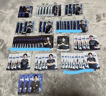 [ 낱개 판매 ] 제5인격 IJL RC 종합