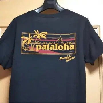 patagonia 하와이 한정판 빅 로고 T셔츠 파타고니아 USA제