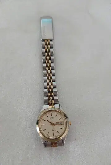 CITIZEN 손목시계 실버/골드