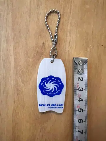 초레어 WILD BLUE YOKOHAMA 아크릴 키링