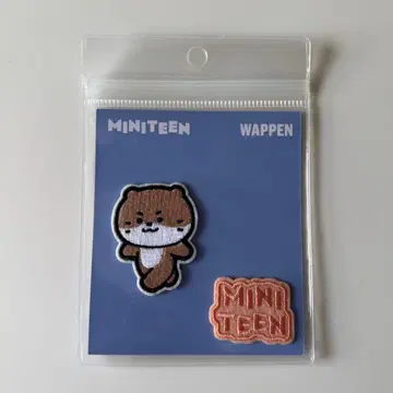 SEVENTEEN MINITEEN 세부치 와펜 디노 찬다리