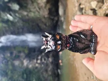 오키나와 타키 상대를 벌하는 마법 고양이 오르가나이트