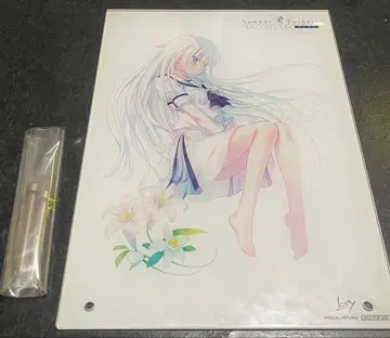 summer pockets 아크릴 스탠드 시로하