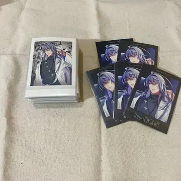 진구지 쟈쿠라이 파샤코레 77장 세트 Flava ver2