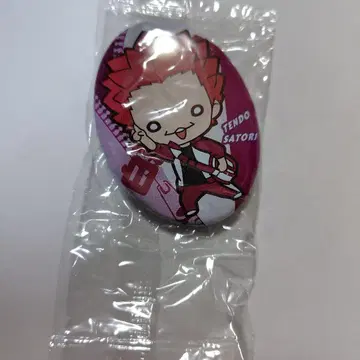 하이큐 니토탄 캔뱃지 텐도 사토리