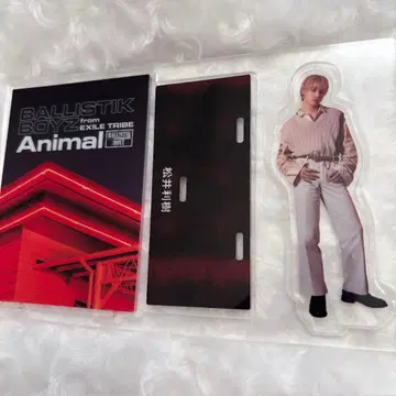 마츠이 리키 animal 아크릴 스탠드
