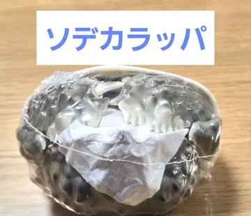 생물대도감 어드밴스 소데카랏파