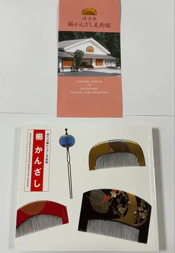 빗 헤어콤 사와노이 빗 헤어콤 미술관 도서 도록