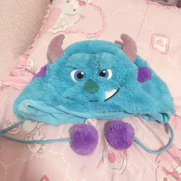 샐리 팬캡 디즈니