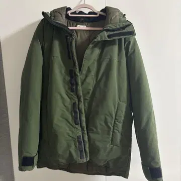 스티븐 앨런 Steven Alan 다운