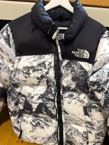 THE NORTH FACE 다운 자켓 산악 풍경 프린트