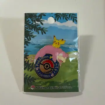 포켓몬 센터 카가와 야돈 피카츄 핀즈 핀 배지