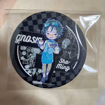 그노시아 사명 코스터 다이너